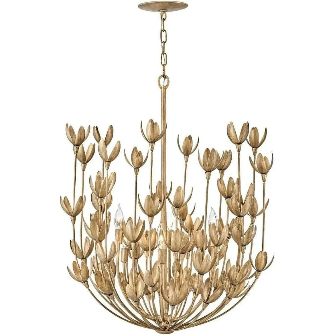 Hinkley Lighting - Flora Chandelier - 30016BNG | Montreal Lighting & Hardware