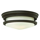 Hinkley Lighting - Hadley 12-Inch Flush Mount - 3302AN | Montreal Lighting & Hardware