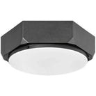 Hinkley Lighting - Hex 16-Inch Flush Mount - 4583BGR | Montreal Lighting & Hardware