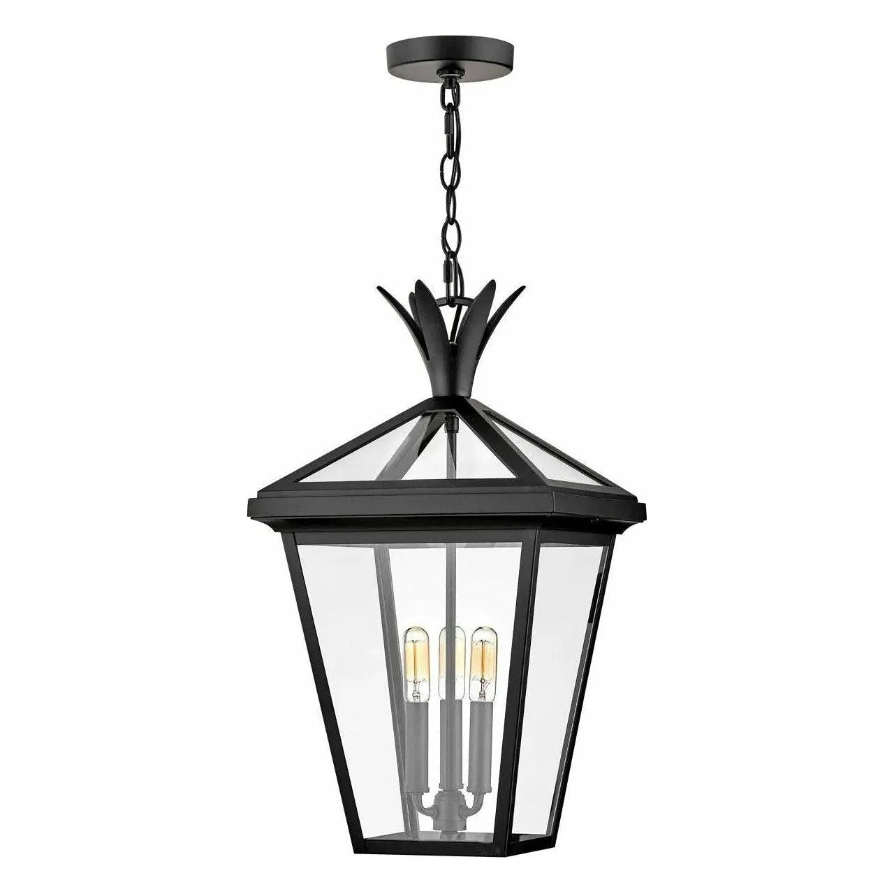 Hinkley Lighting - Palma Hanging Lantern - 26092BK | Montreal Lighting & Hardware