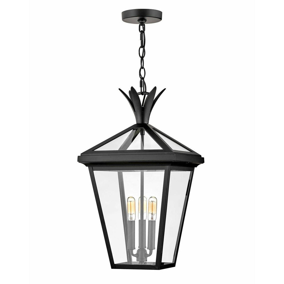 Hinkley Lighting - Palma Hanging Lantern - 26092BK | Montreal Lighting & Hardware