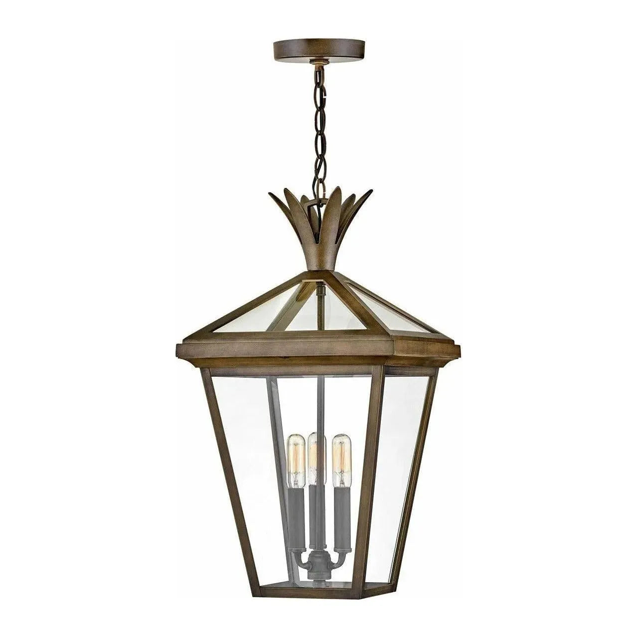 Hinkley Lighting - Palma Hanging Lantern - 26092BK | Montreal Lighting & Hardware