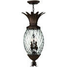 Hinkley Lighting - Plantation 12-Inch Outdoor Hanging Lantern - 2222CB | Montreal Lighting & Hardware