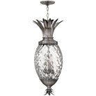 Hinkley Lighting - Plantation 12-Inch Outdoor Hanging Lantern - 2222PL | Montreal Lighting & Hardware