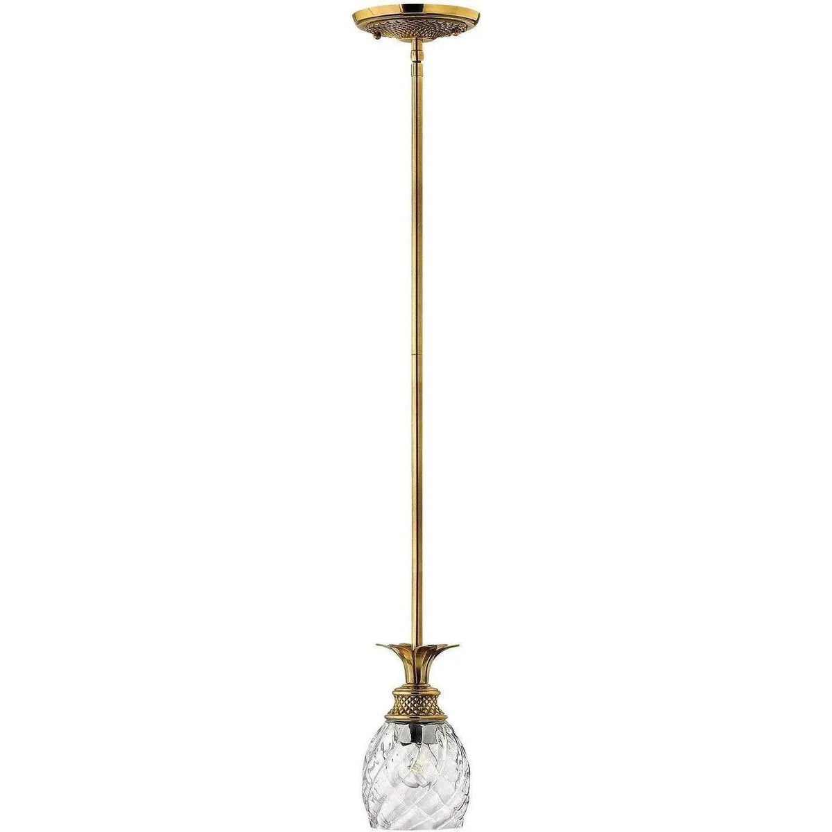 Hinkley Lighting - Plantation 5-Inch Pendant - 5317BB | Montreal Lighting & Hardware
