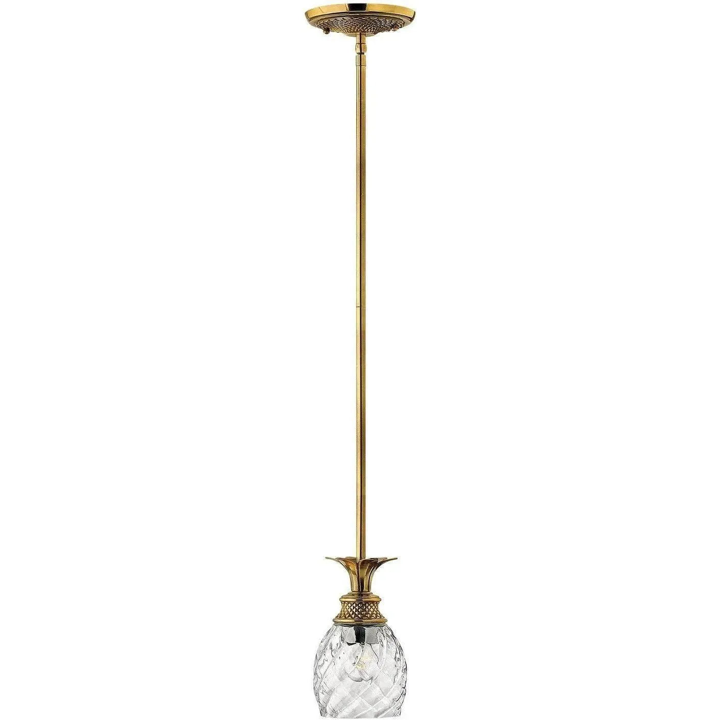 Hinkley Lighting - Plantation 5-Inch Pendant - 5317BB | Montreal Lighting & Hardware