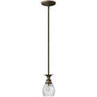 Hinkley Lighting - Plantation 5-Inch Pendant - 5317PZ | Montreal Lighting & Hardware