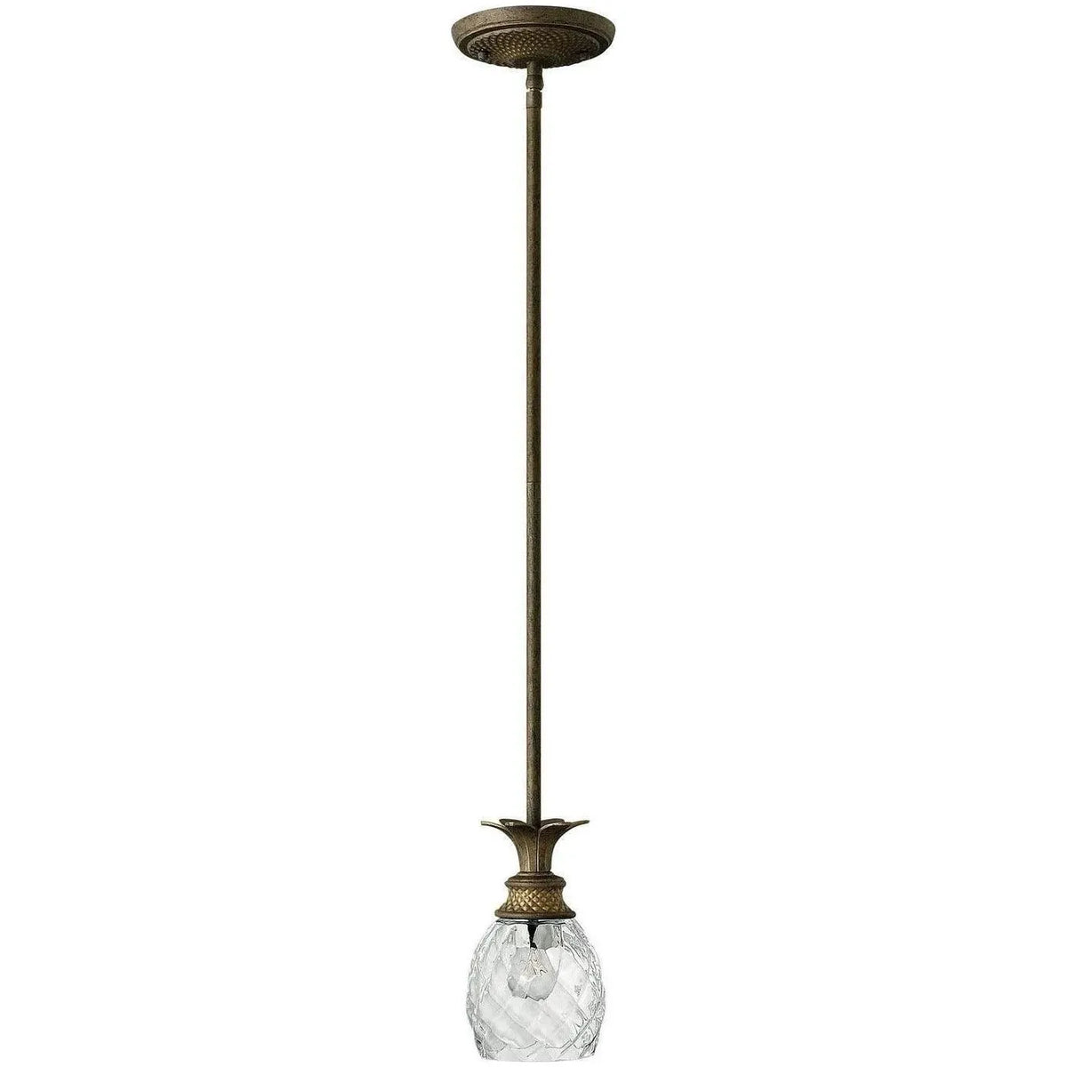 Hinkley Lighting - Plantation 5-Inch Pendant - 5317PZ | Montreal Lighting & Hardware