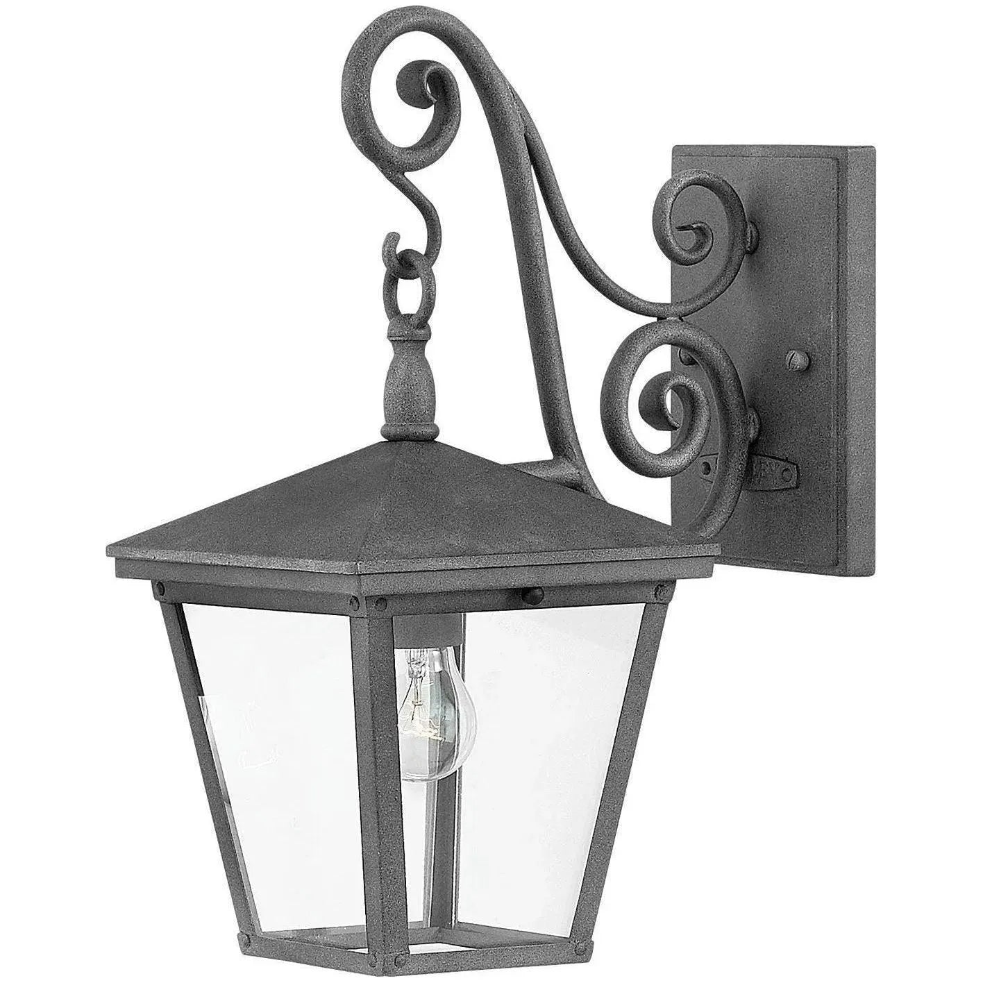 Hinkley Lighting - Trellis 16-Inch Outdoor Wall Mount - 1430DZ | Montreal Lighting & Hardware