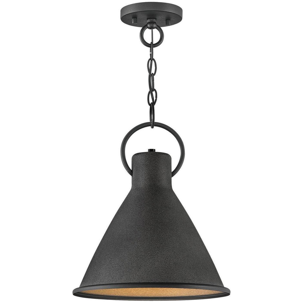 Hinkley Lighting - Winnie 12-Inch Pendant - 3557DZ | Montreal Lighting & Hardware