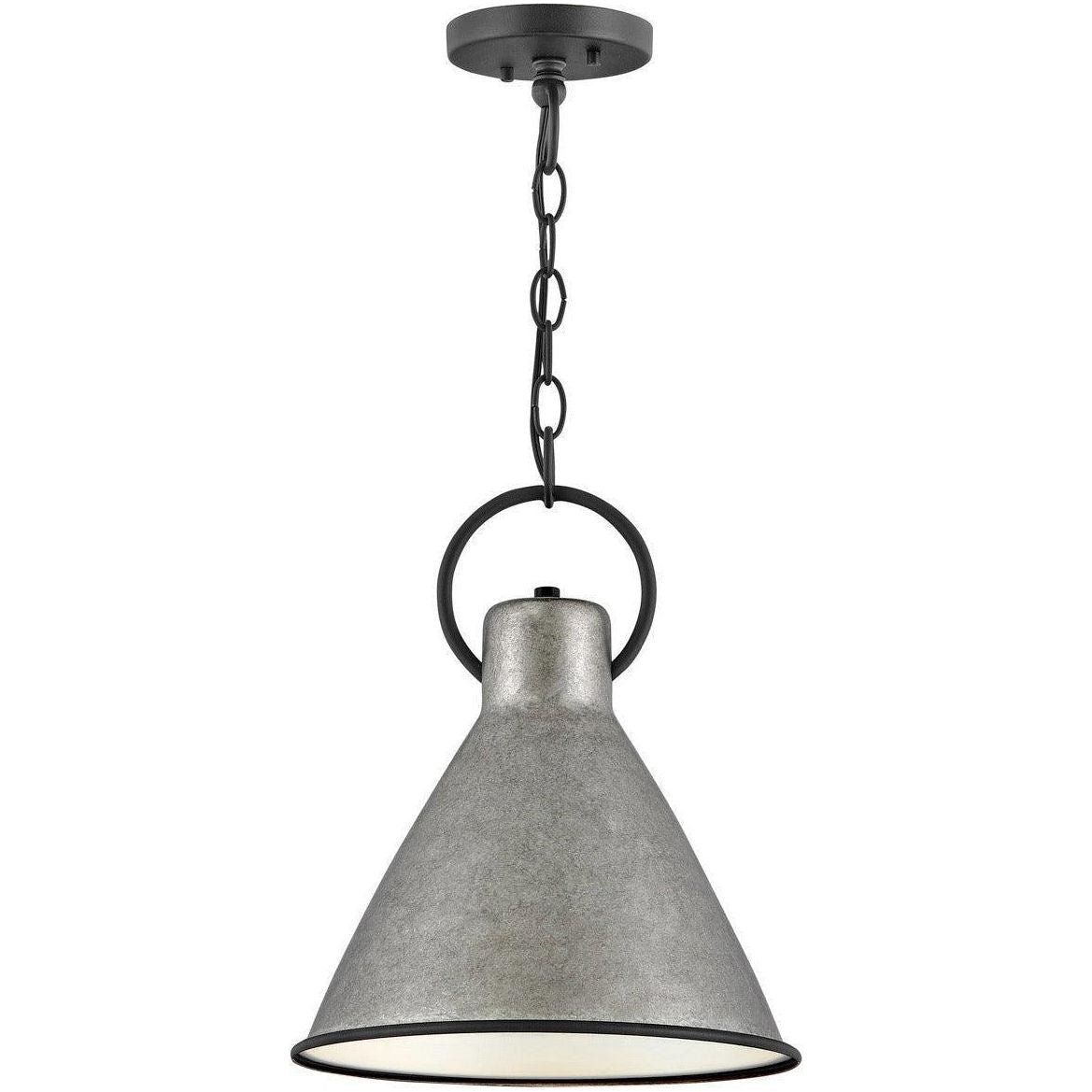 Hinkley Lighting - Winnie 12-Inch Pendant - 3557RP | Montreal Lighting & Hardware