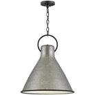 Hinkley Lighting - Winnie 18-Inch Pendant - 3555RP | Montreal Lighting & Hardware