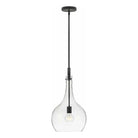 Hinkley Lighting - Ziggy Pendant - 4457BK-CL | Montreal Lighting & Hardware