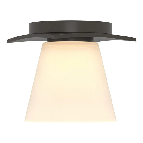 Roitelet Plafonnier