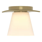 Hubbardton Forge - Wren Flush Mount - 126601-SKT-86-GG0242 | Montreal Lighting & Hardware
