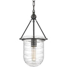 Hudson Valley Lighting - Willet Pendant - 210-PN | Montreal Lighting & Hardware
