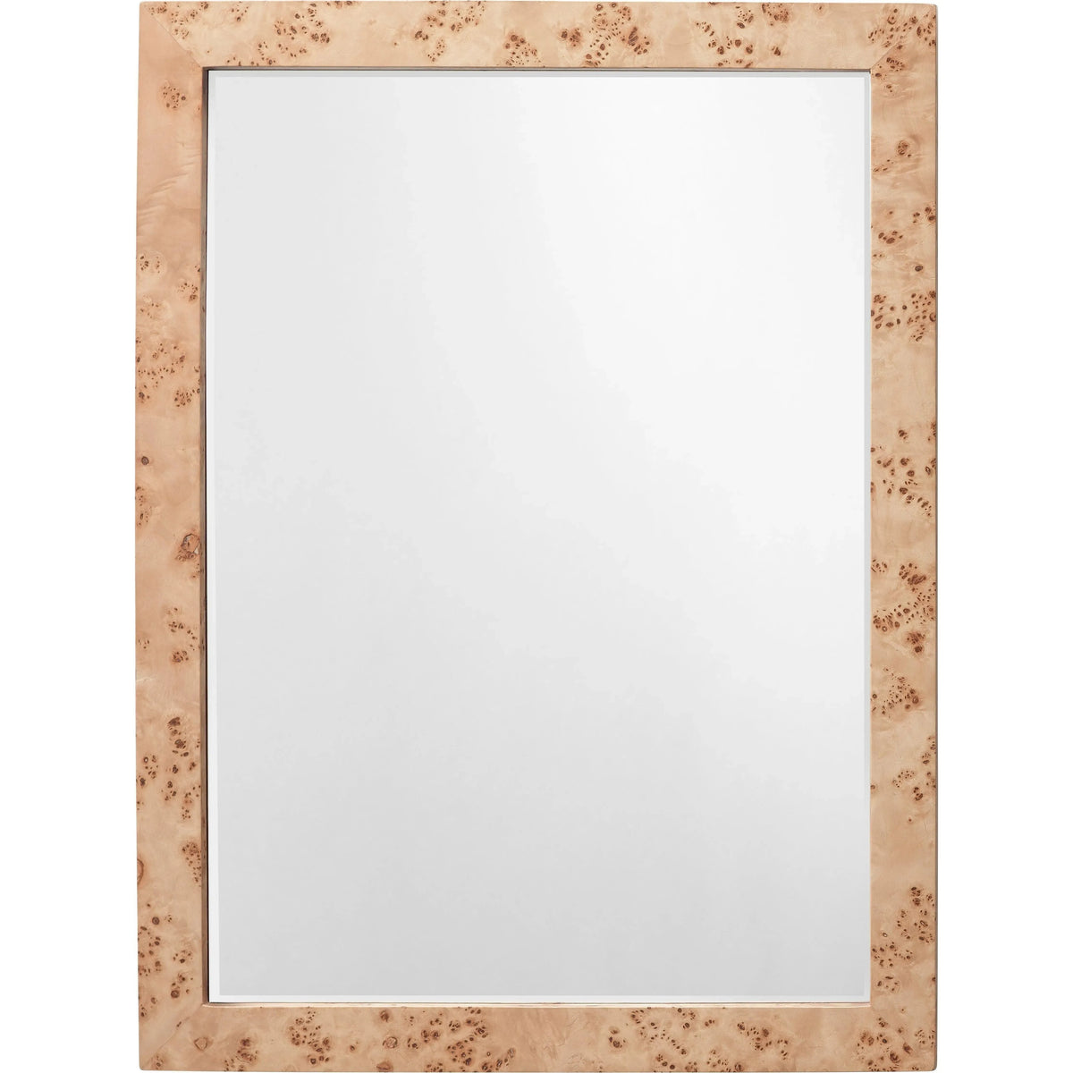 Jamie Young Company - Chandler Rectangle Mirror - 6CHAN-RECTNA | Montreal Lighting & Hardware