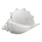 Jamie Young Company - Triton Shell - 7TRIT-SHWH | Montreal Lighting & Hardware