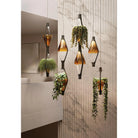 Kundalini - ViceVersa Suspension - K370280GA | Montreal Lighting & Hardware
