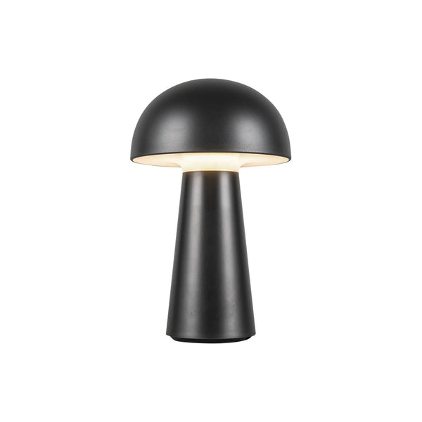 Asher DEL Lampe de table