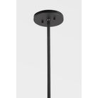 Troy Lighting Canada - F7813-SBK - Trois lampes Suspendu - Leo - Noir doux