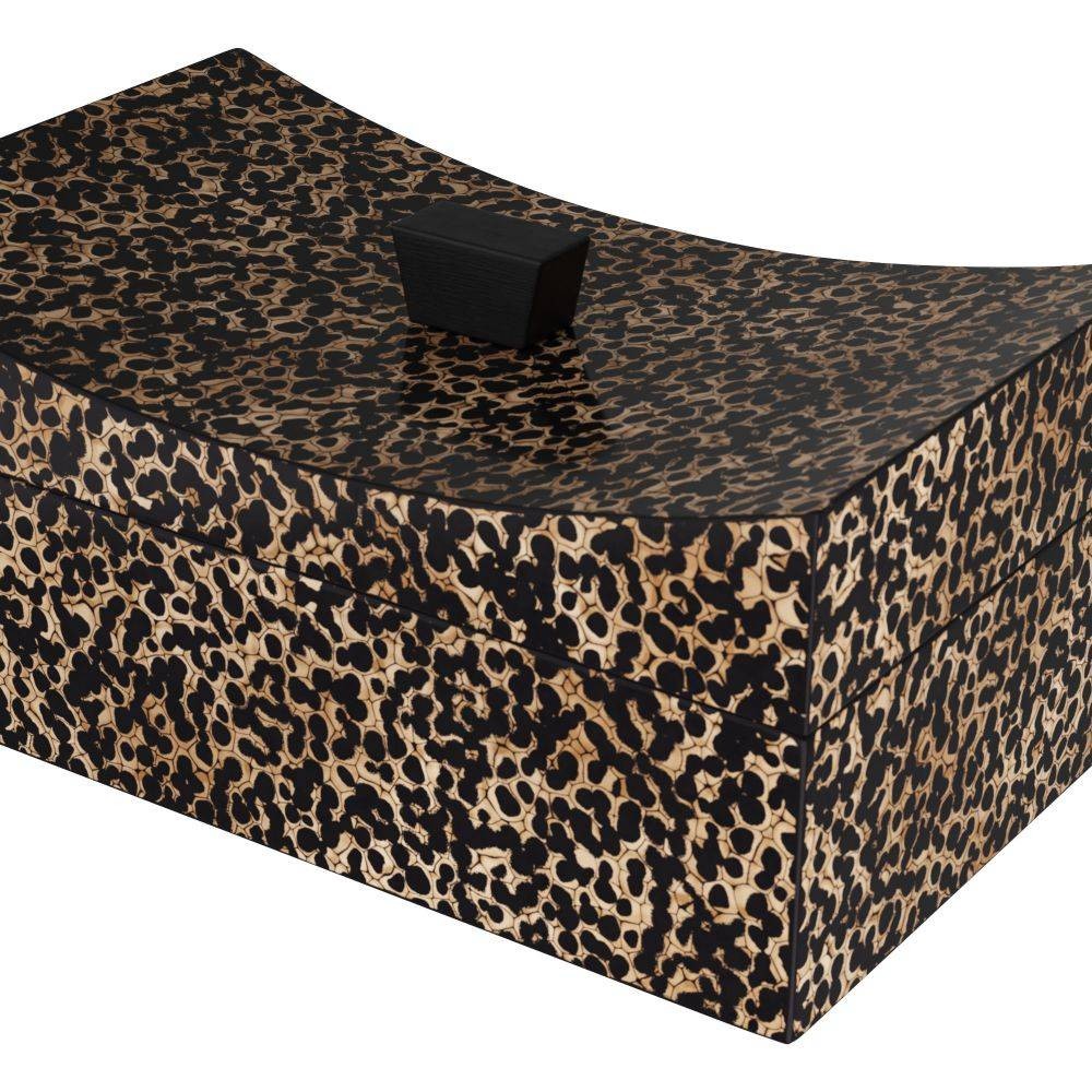 Arteriors - ARS05 - Box - Yarin - Black & Ivory
