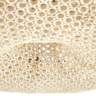 Arteriors - DLS08 - Chandelier - Yara - White
