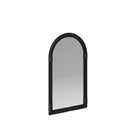 Arteriors - WMI34 - Miroir - Abruzzo - Ébène, Bois de manguier