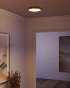 Alora Canada - FM554211AGMB-5CCT - LED Plafonnier - Adélaïde - Or vieilli/Noir mat