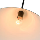 Artcraft Canada - AC11910BK - One Light Pendant - Baltic - Black and Brushed Brass