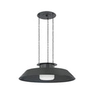 Hudson Valley - 8832-DB - One Light Pendant - Woodrow - Distressed Bronze