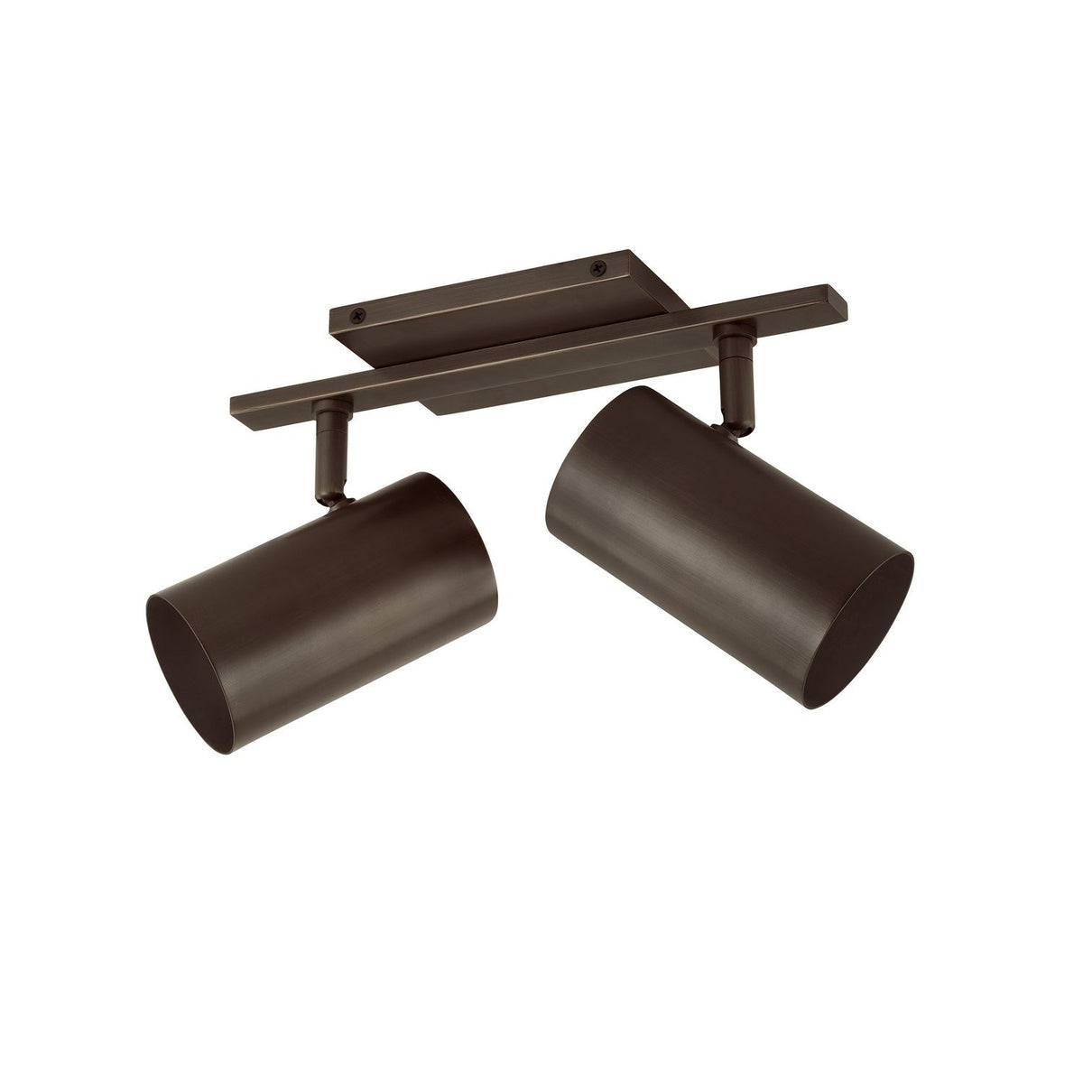Troy Lighting Canada - B1906-BRZ - Two Light Bath - Rueben - Bronze