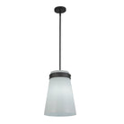 Artcraft Canada - AC10640BK - One Light Pendant - Dahlia - Black