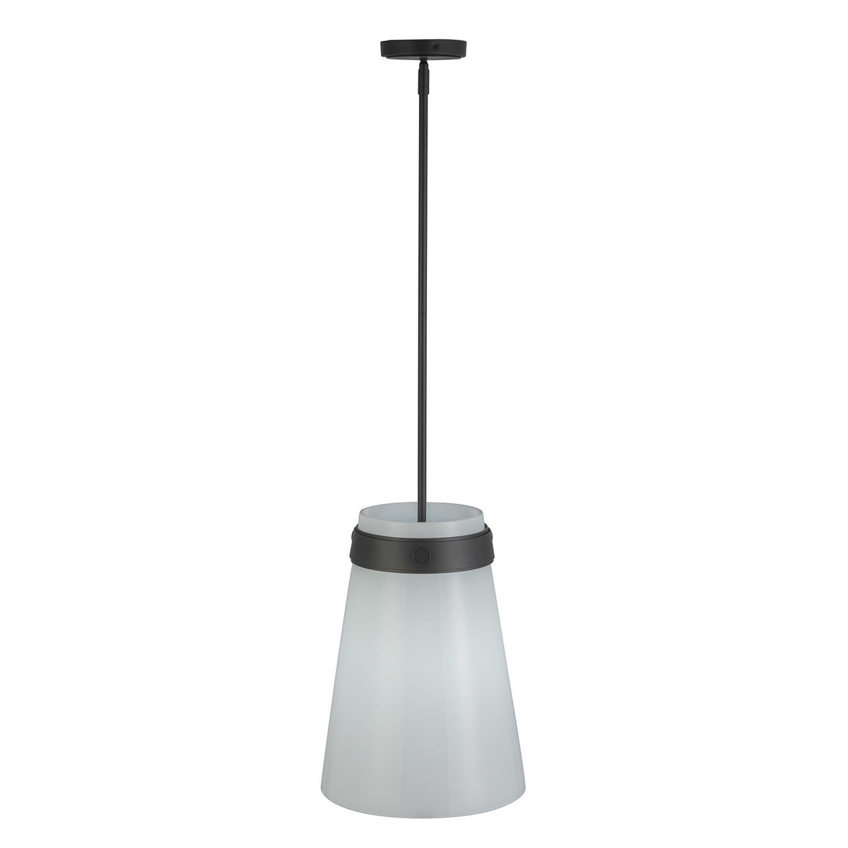 Artcraft Canada - AC10640BK - One Light Pendant - Dahlia - Black