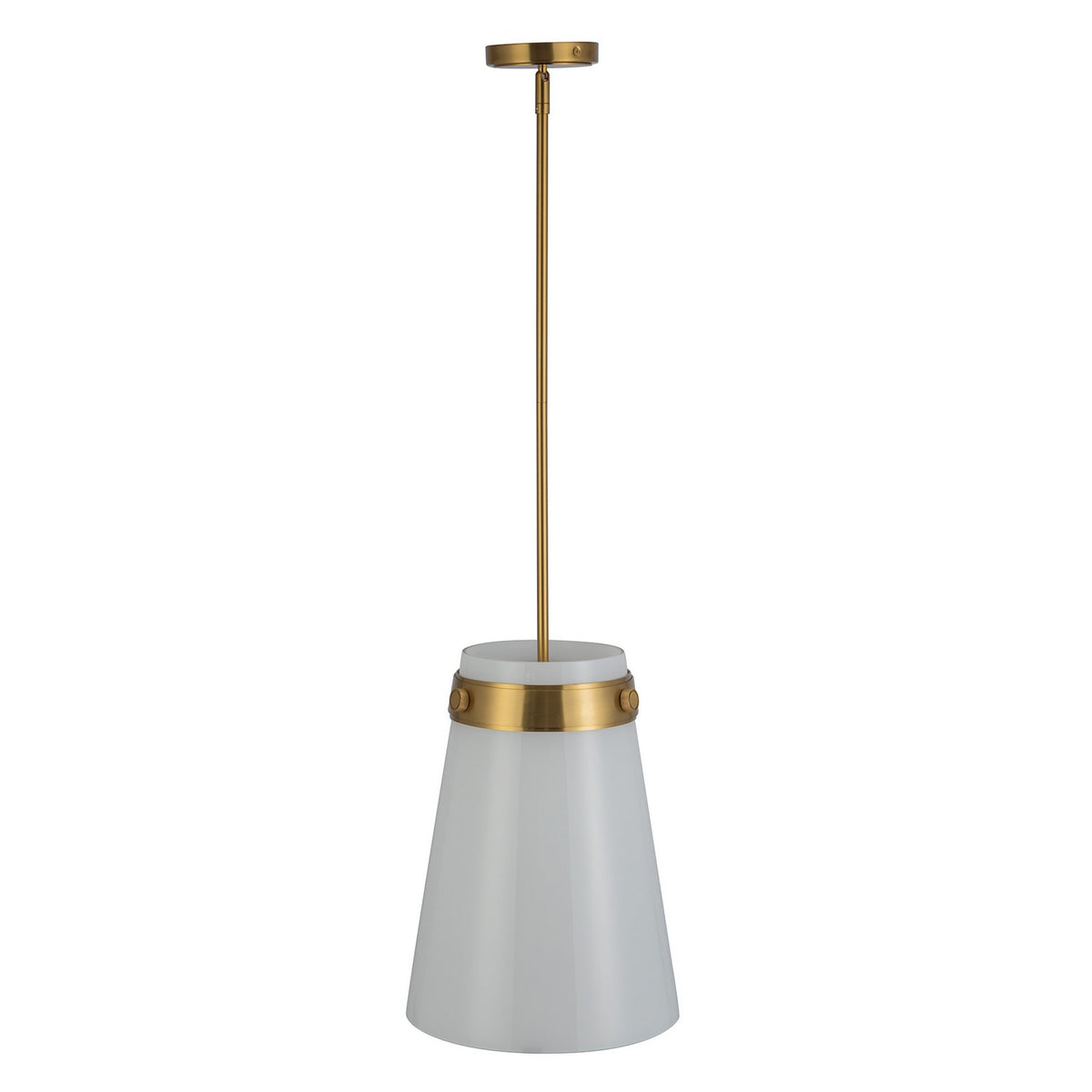 Artcraft Canada - AC10640BR - One Light Pendant - Dahlia - Brushed Brass