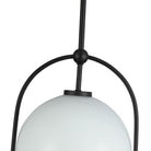 Artcraft Canada - AC10650BK - One Light Pendant - Dahlia - Black