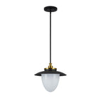 Artcraft Canada - AC11905BB - Une lampe Suspension - Dahlia - Noir