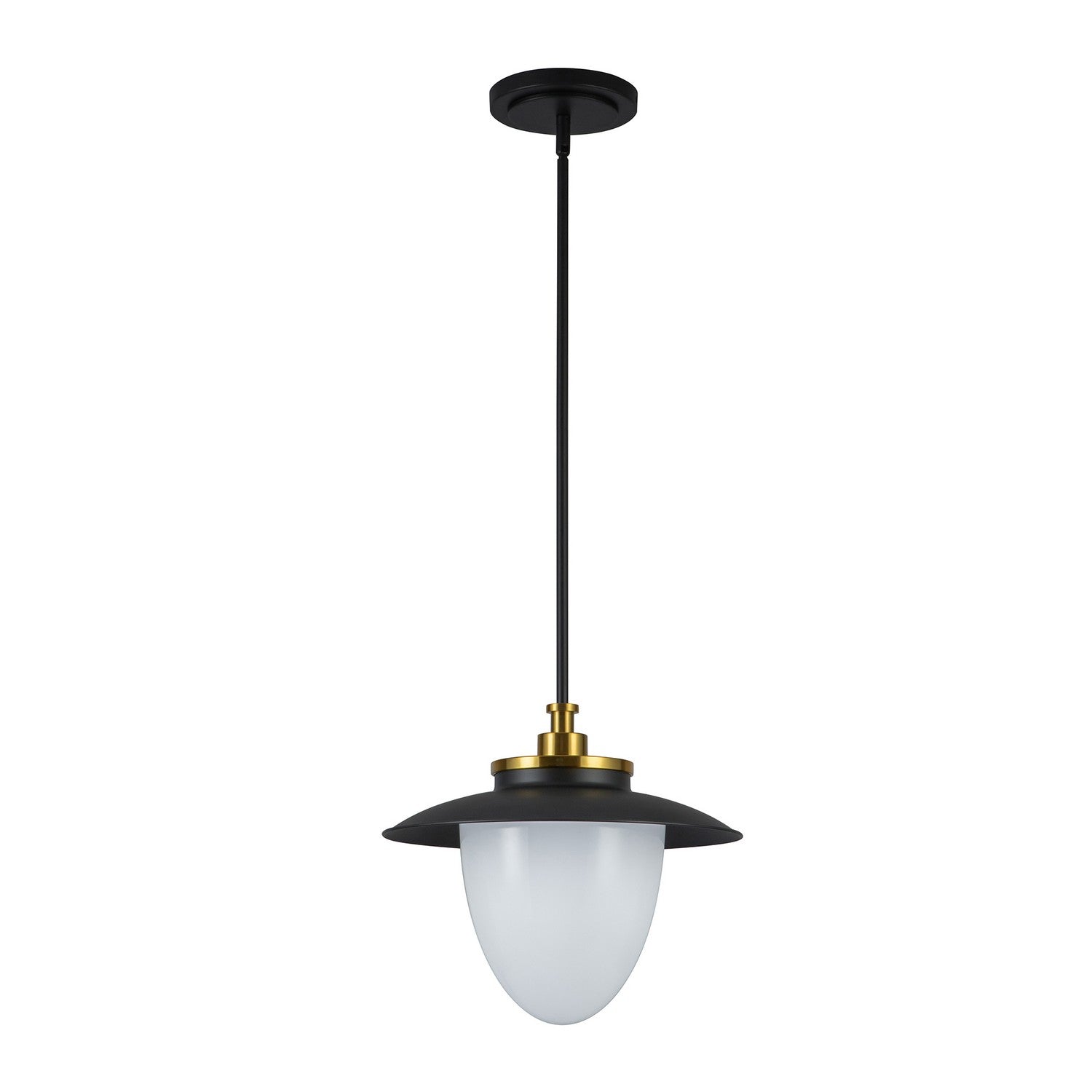 Artcraft Canada - AC11905BB - Une lampe Suspension - Dahlia - Noir