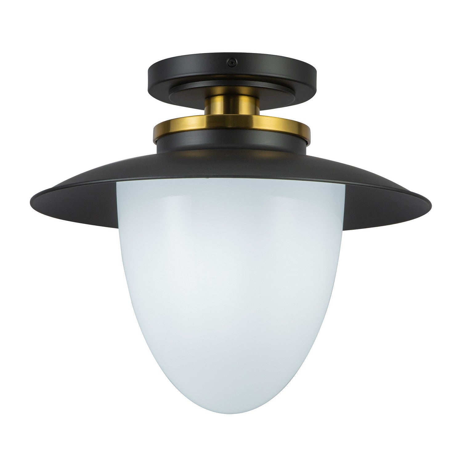Artcraft Canada - AC11905BB - Une lampe Suspension - Dahlia - Noir
