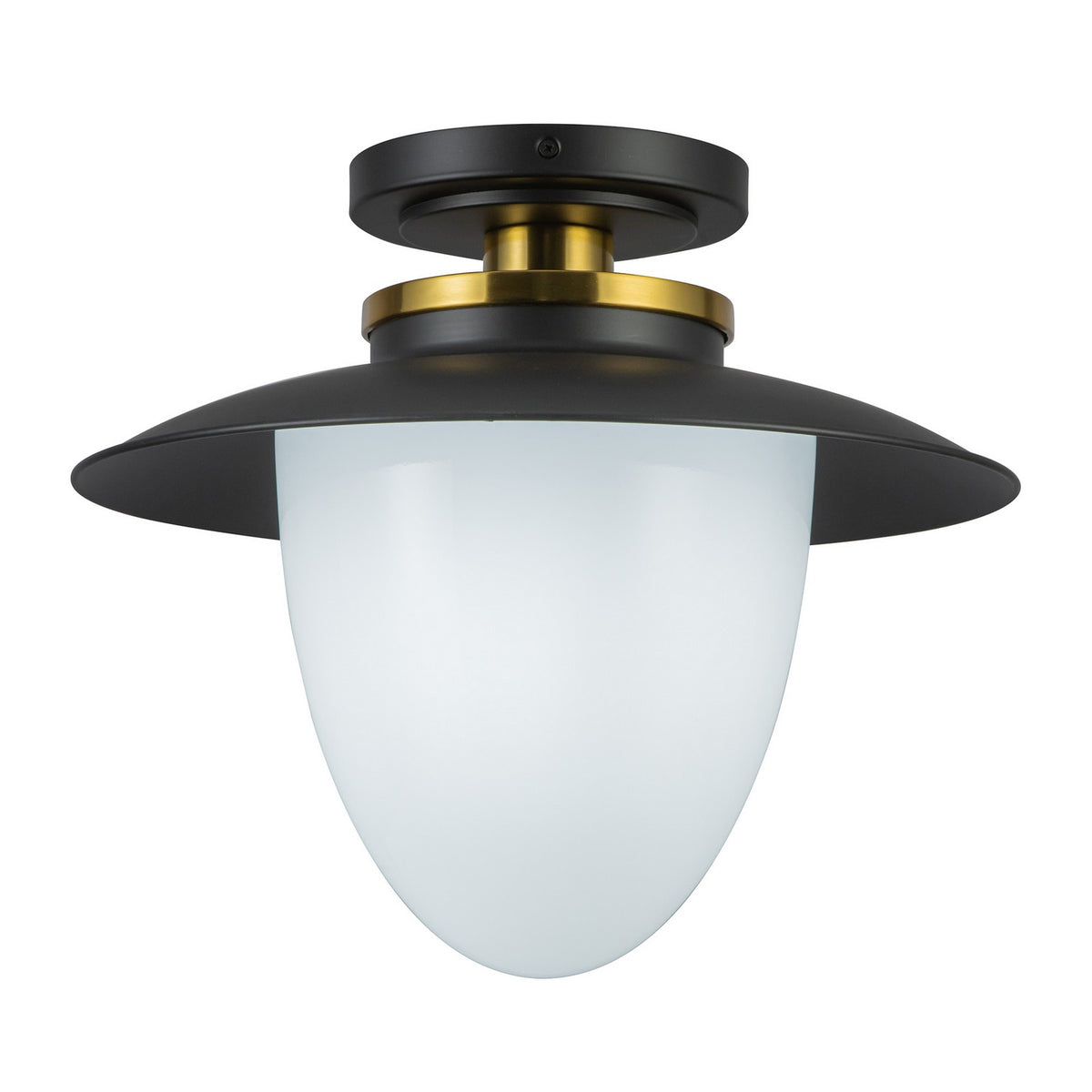 Artcraft Canada - AC11905BB - One Light Pendant - Dahlia - Black