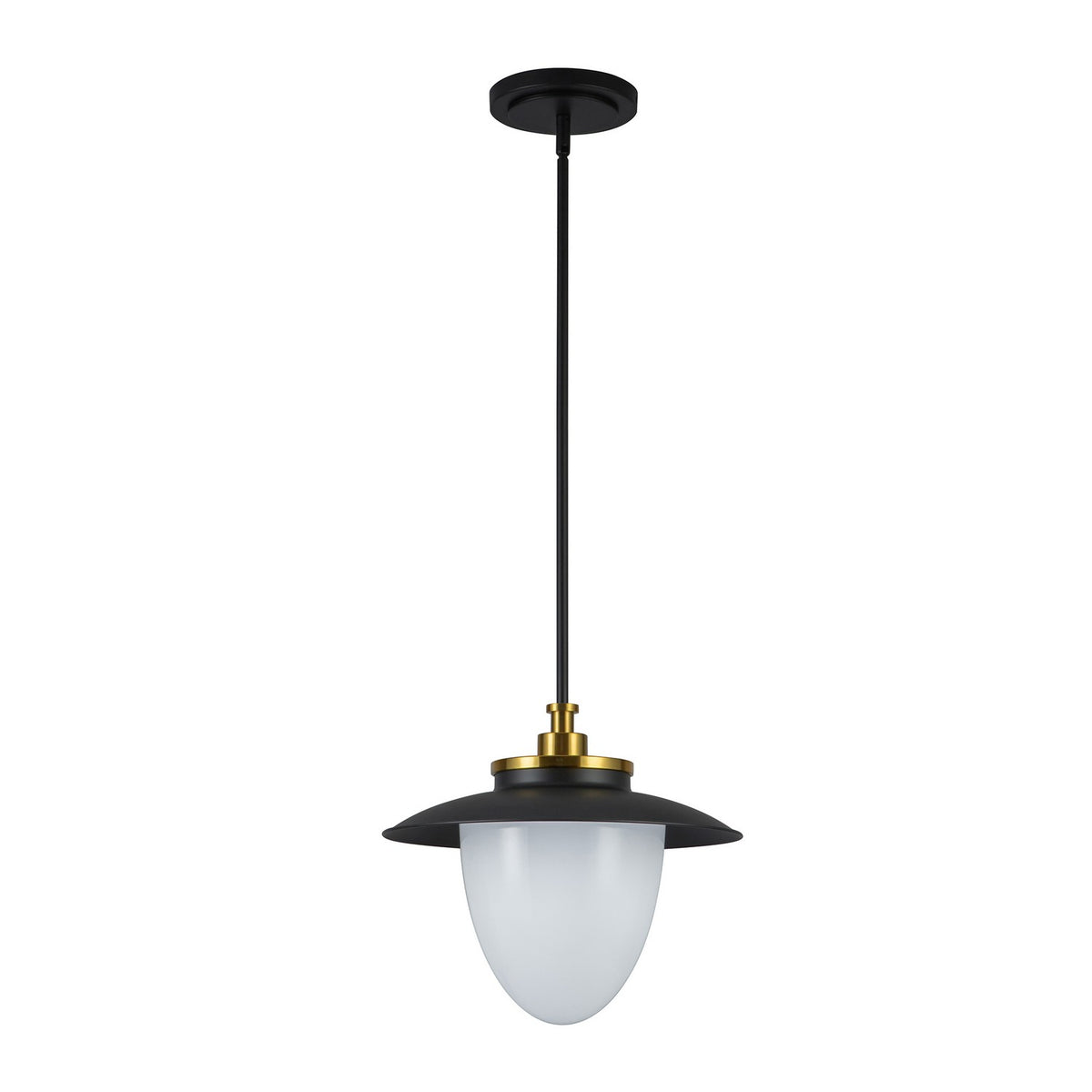 Artcraft Canada - AC11905BB - One Light Pendant - Dahlia - Black