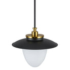 Artcraft Canada - AC11905BB - Une lampe Suspension - Dahlia - Noir