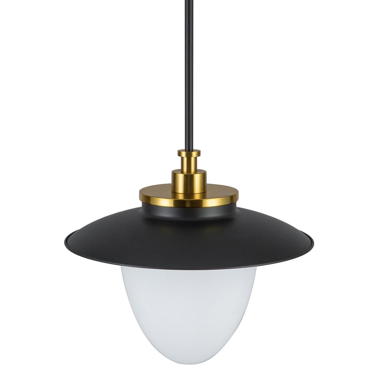 Artcraft Canada - AC11905BB - Une lampe Suspension - Dahlia - Noir