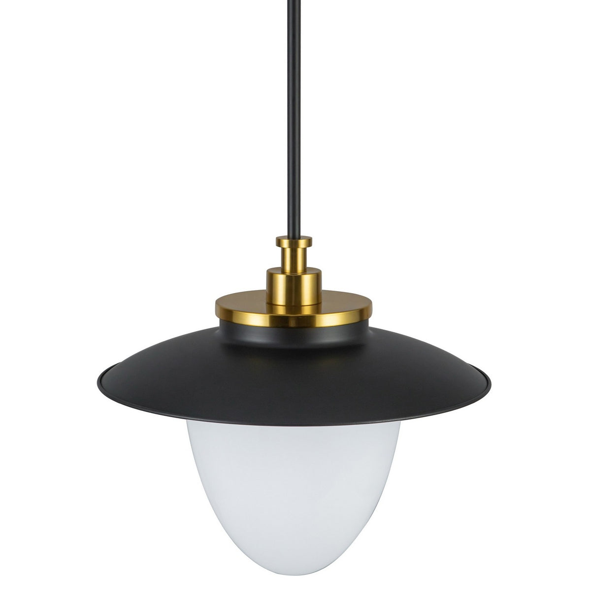Artcraft Canada - AC11905BB - One Light Pendant - Dahlia - Black