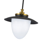 Artcraft Canada - AC11905BB - Une lampe Suspension - Dahlia - Noir