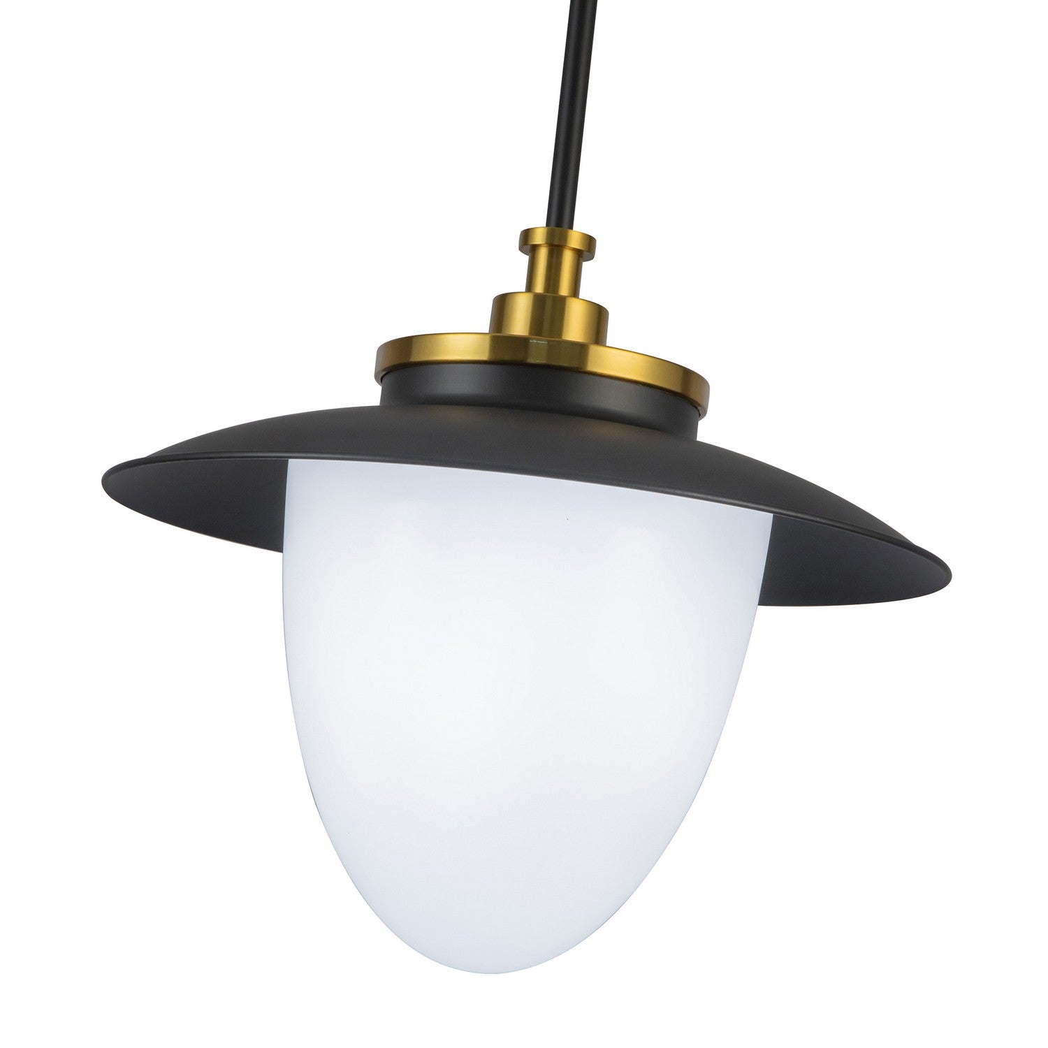 Artcraft Canada - AC11905BB - Une lampe Suspension - Dahlia - Noir