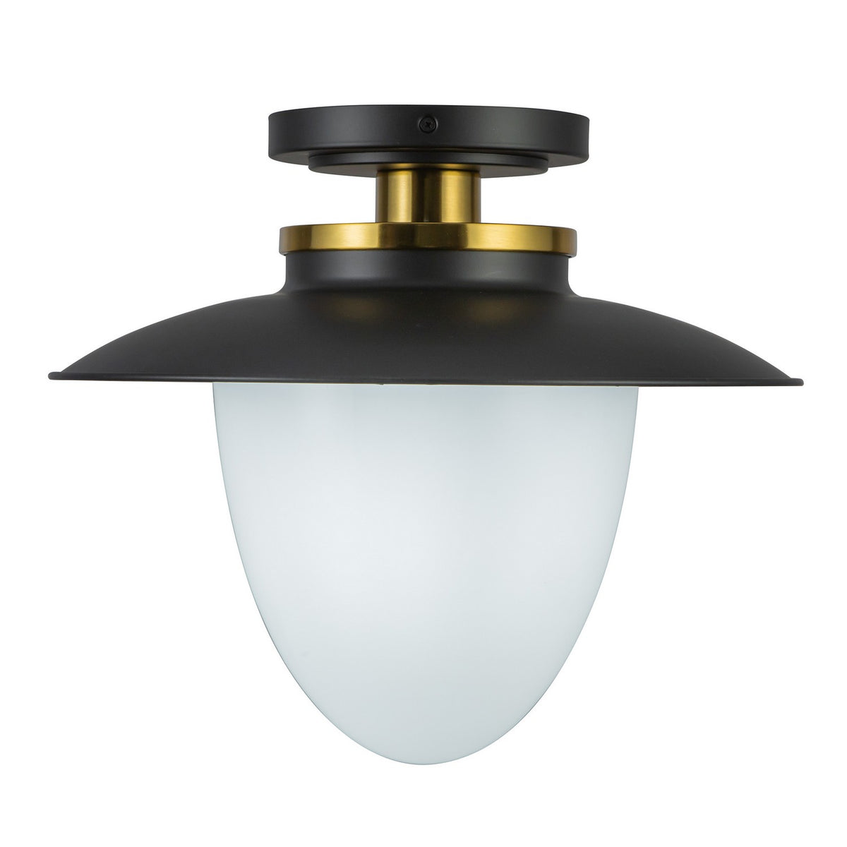 Artcraft Canada - AC11905BB - One Light Pendant - Dahlia - Black