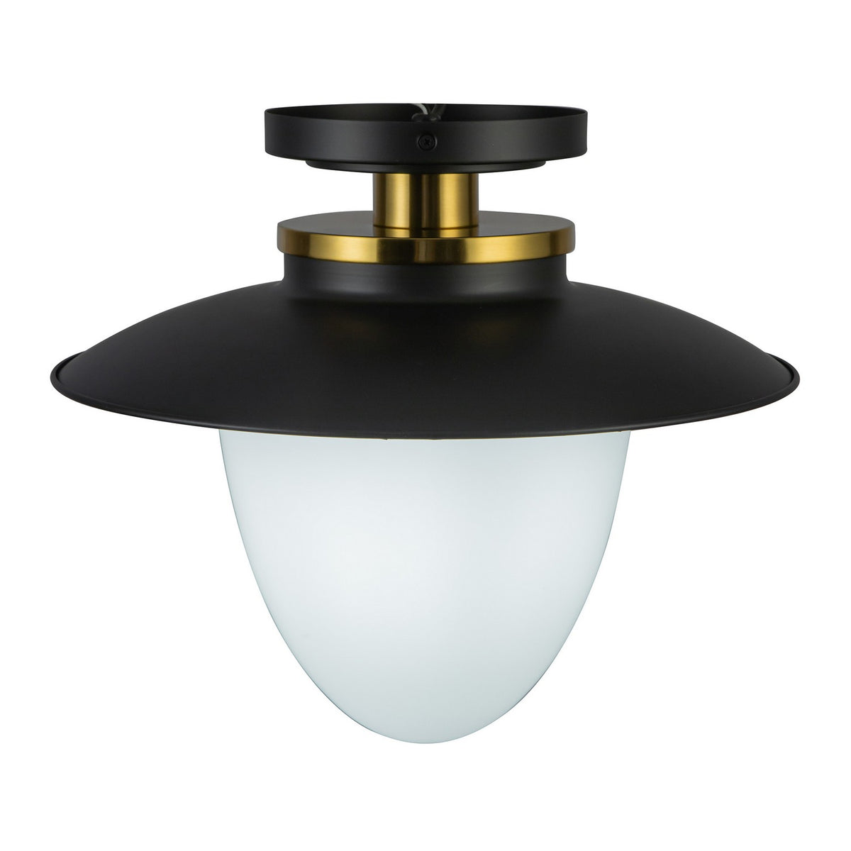 Artcraft Canada - AC11905BB - One Light Pendant - Dahlia - Black