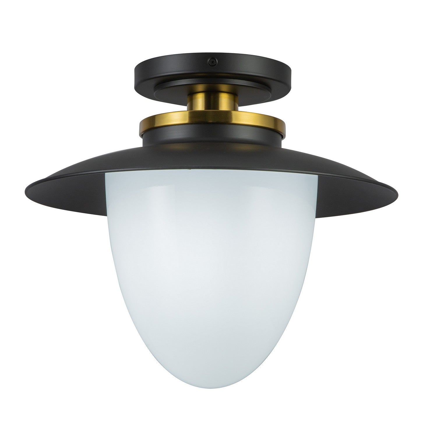 Artcraft Canada - AC11905BB - Une lampe Suspension - Dahlia - Noir