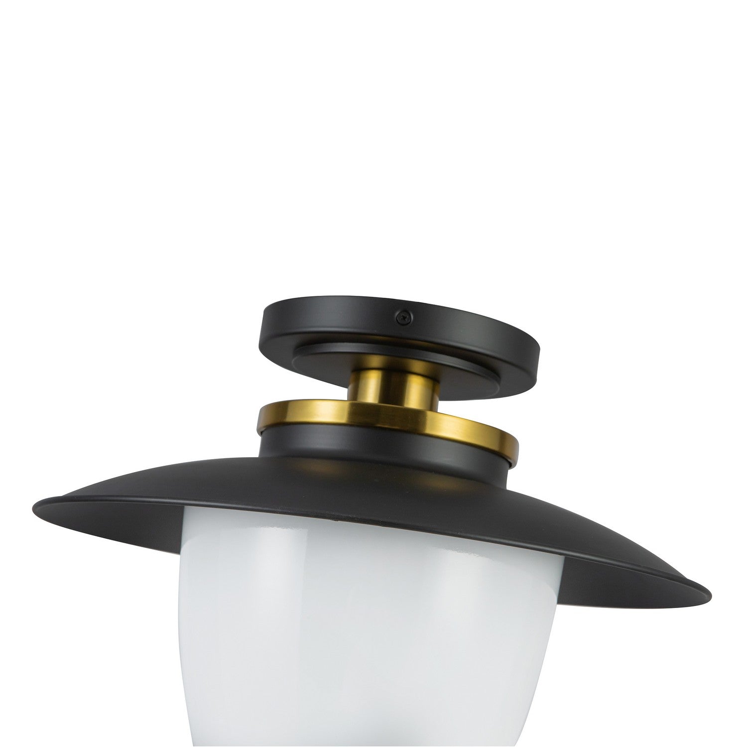 Artcraft Canada - AC11905BB - Une lampe Suspension - Dahlia - Noir